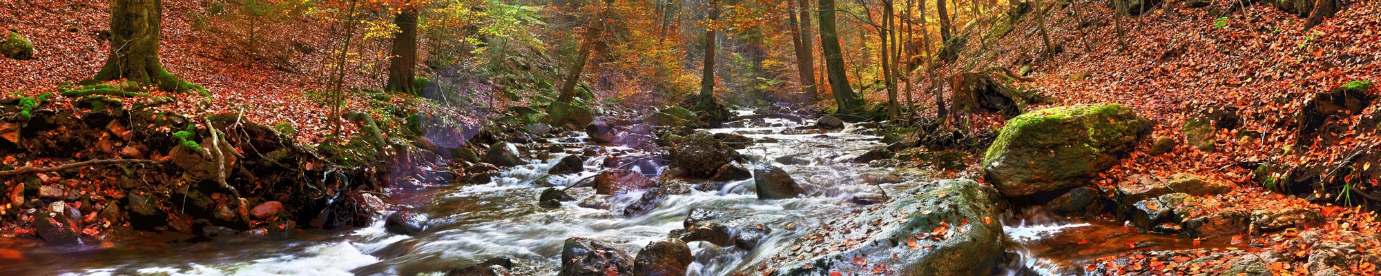 Wunderbare Herbstlandschaft im Harz Ferienwohnungen Bergstadt Lautenthal